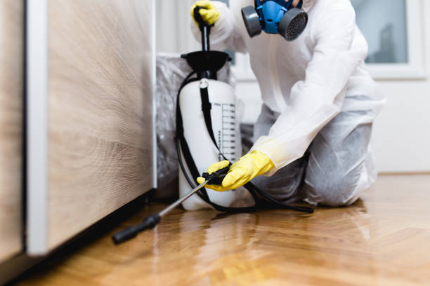 Best Flea Control Services  in Rocky Point, NY