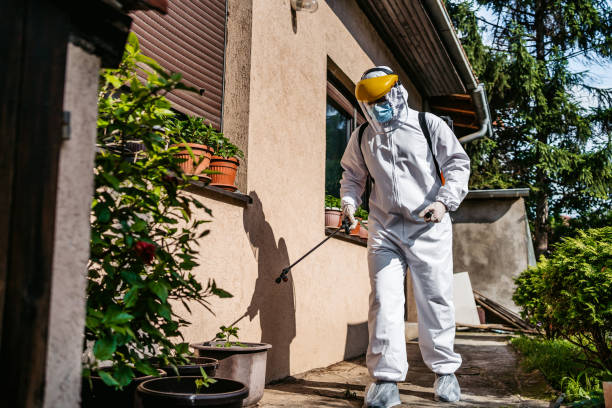 Best Flea Control Services  in Rocky Point, NY