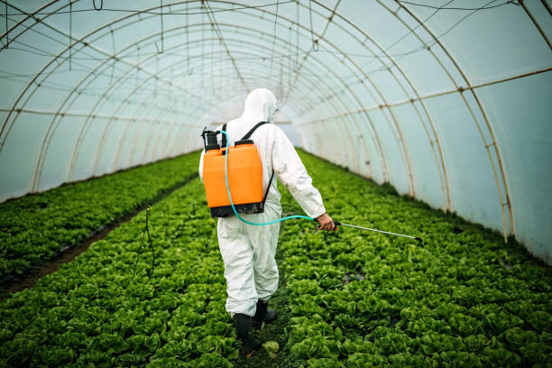 Best Pest Control for Businesses  in Rocky Point, NY