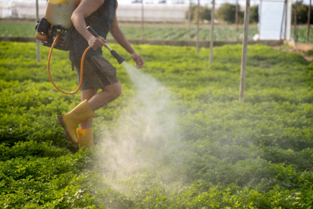 Best Residential Pest Control  in Rocky Point, NY