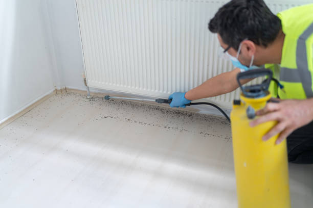 Best Ant Control Services  in Rocky Point, NY
