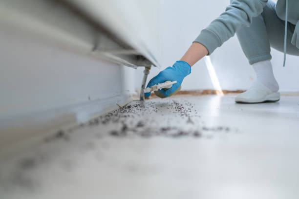 Best Best Pest Control Companies  in Rocky Point, NY